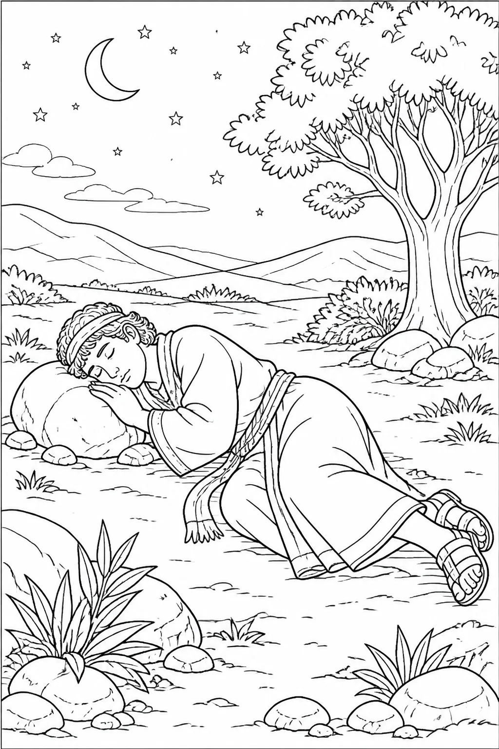 Jacob rests at night in an unnamed place, lying down with a stone as a pillow, based on Genesis 28:11.